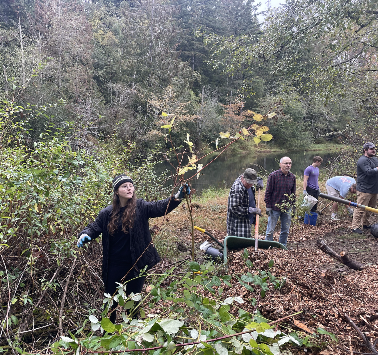 Photo of students near the Nooksack River removing invasive species