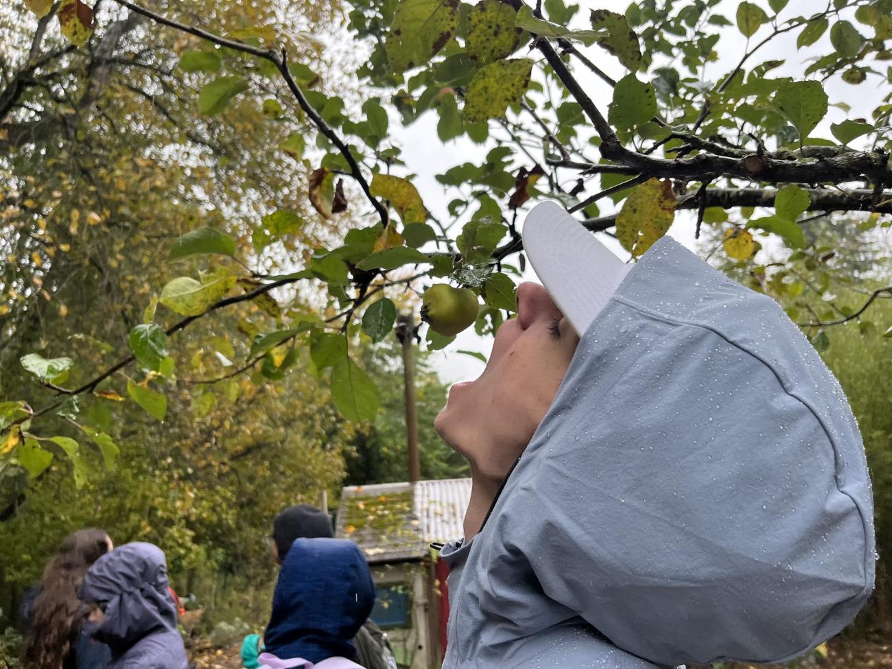 person with a hat and hood on about to eat an apple off of a tree